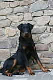 BEAUCERON 968